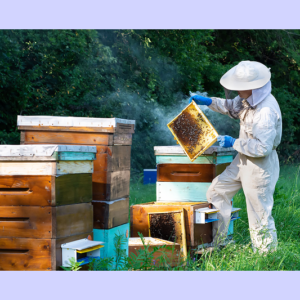 Как мастер по изготовлению деревянных ульев получил целевые лиды в несезон через лидогенерацию